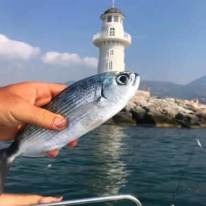 alanya city tour (5)
